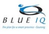 Blue IQ logo image